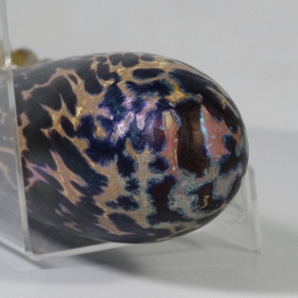 Glass blown handmade eggplant - Small Gourds - Pumpkin Patch Handmade Glass bulb - Picture 6 of 16